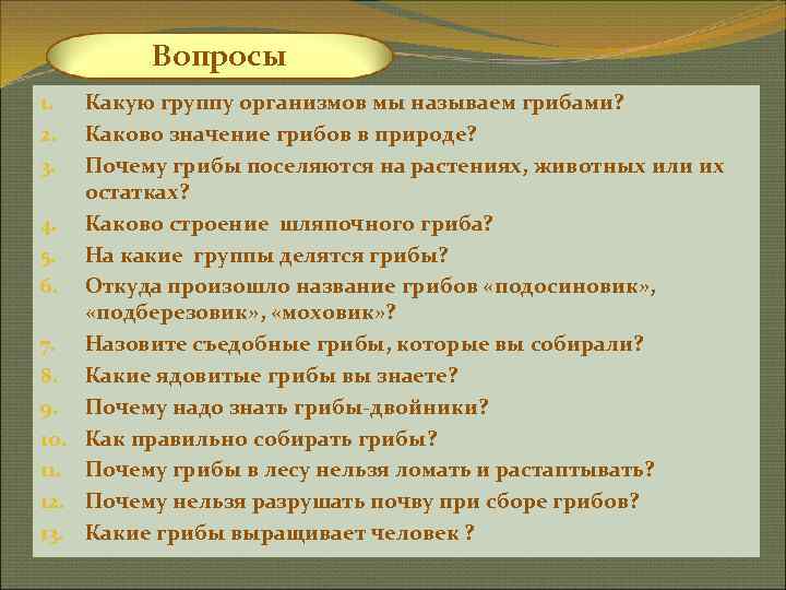    Вопросы 1.  Какую группу организмов мы называем грибами? 2. 