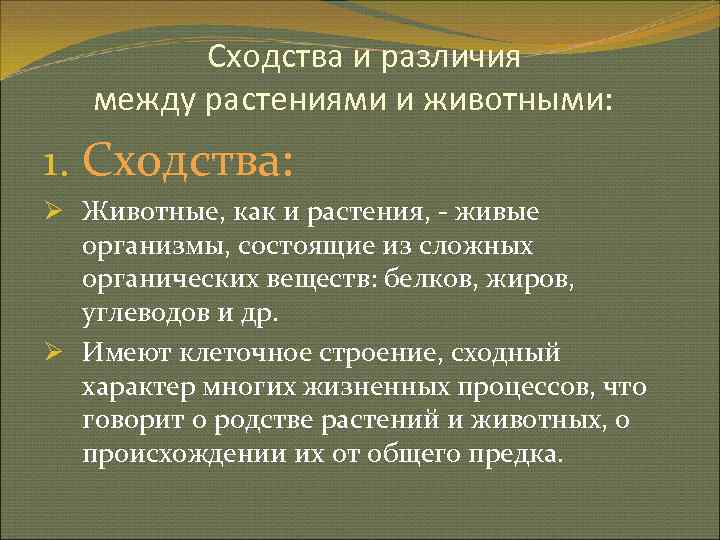    Сходства и различия  между растениями и животными: 1. Сходства: Ø