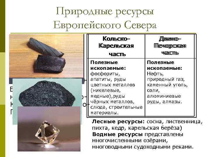   Природные ресурсы   Европейского Севера Используя текст   Кольско- 