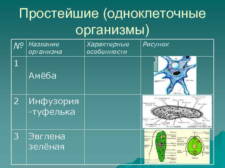 Простейшие (одноклеточные  организмы) №  Название  Характерные  Рисунок организма  особенности