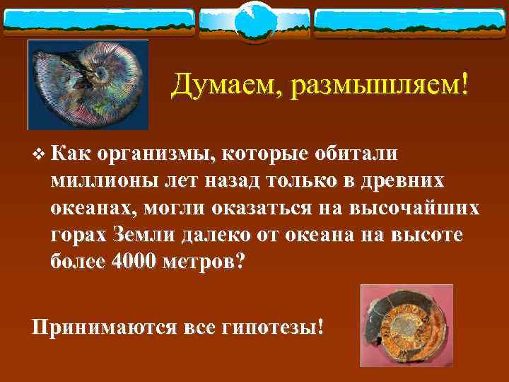   Думаем, размышляем! v Как организмы, которые обитали миллионы лет назад только в