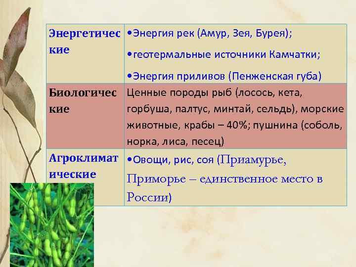 Природные комплексы дальнего востока презентация