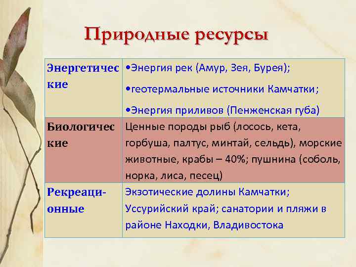  Природные ресурсы Энергетичес • Энергия рек (Амур, Зея, Бурея); кие   •