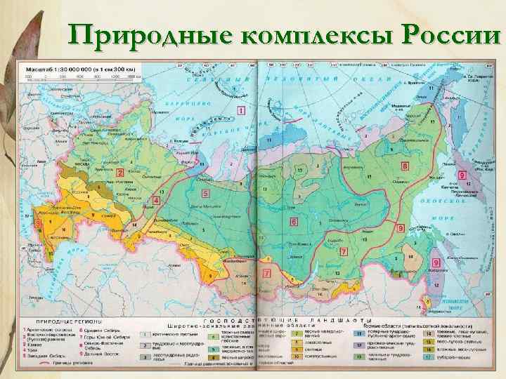 Восточная сибирь природные зоны контурная карта