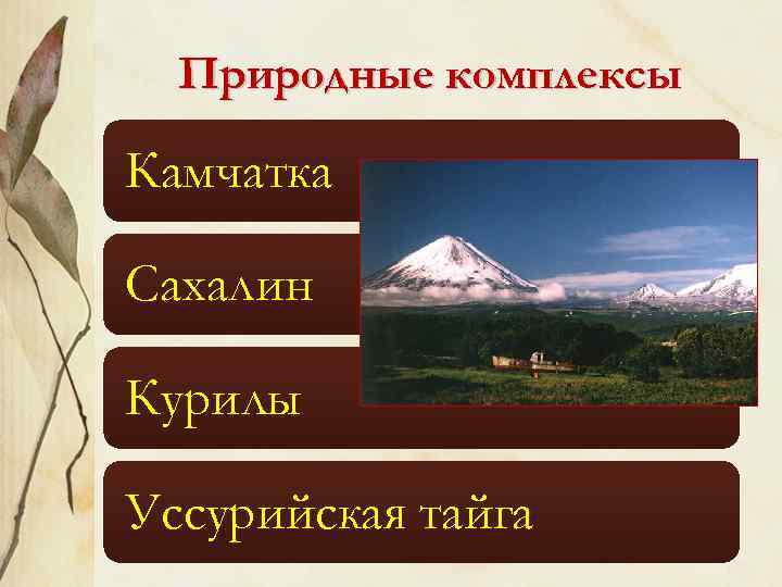 Презентация по географии 8 класс природные комплексы дальнего востока