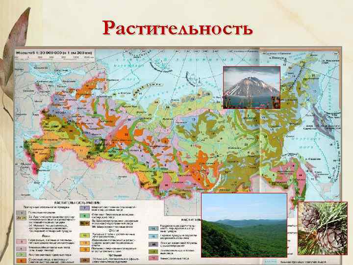 Презентация по географии 8 класс природные комплексы дальнего востока