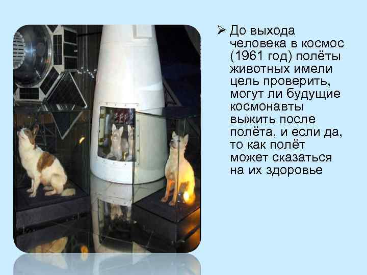 Ø До выхода  человека в космос  (1961 год) полёты  животных имели
