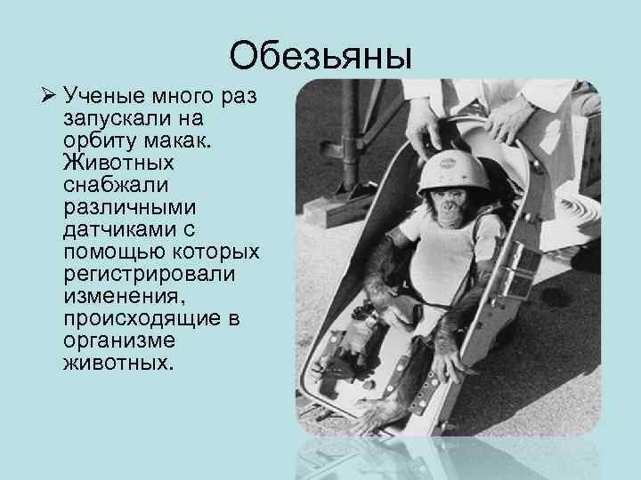     Обезьяны Ø Ученые много раз  запускали на  орбиту