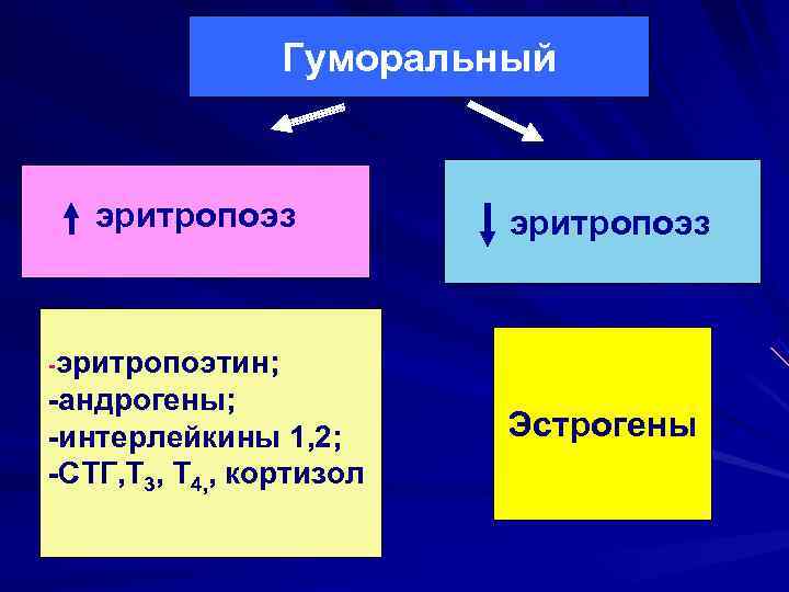    Гуморальный эритропоэз  -эритропоэтин; -андрогены; -интерлейкины 1, 2;   