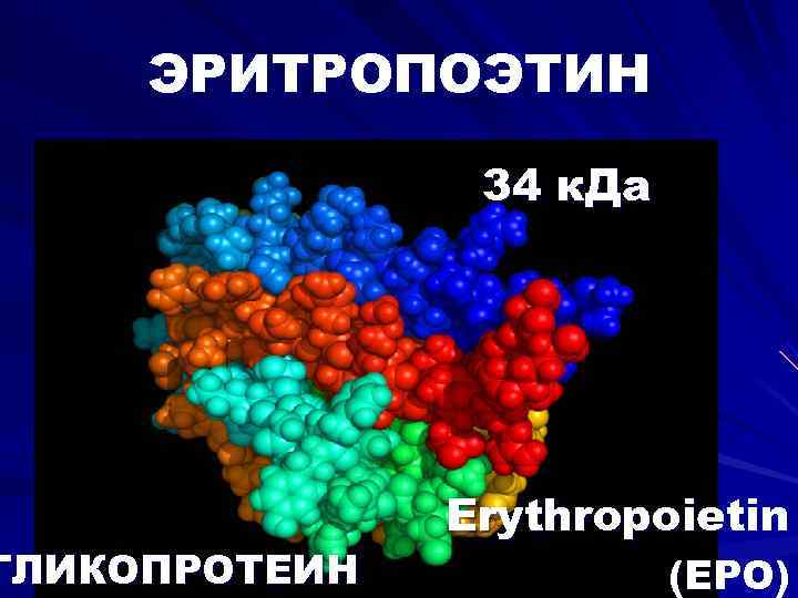  ЭРИТРОПОЭТИН   34 к. Да    Erythropoietin ГЛИКОПРОТЕИН  