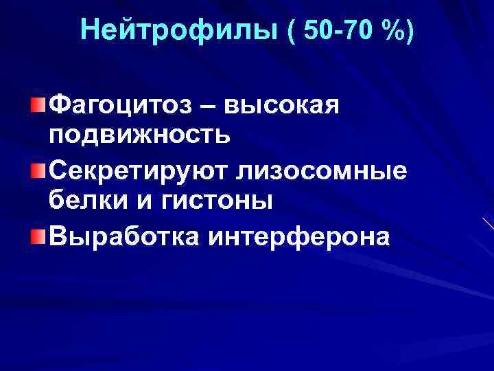  Нейтрофилы ( 50 -70 %) Фагоцитоз – высокая подвижность Секретируют лизосомные белки и