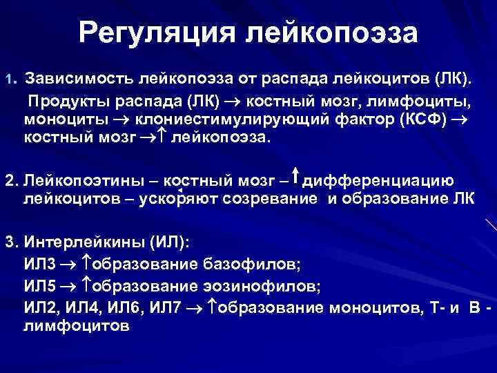   Регуляция лейкопоэза. Зависимость лейкопоэза от распада лейкоцитов (ЛК). 1 Продукты распада (ЛК)