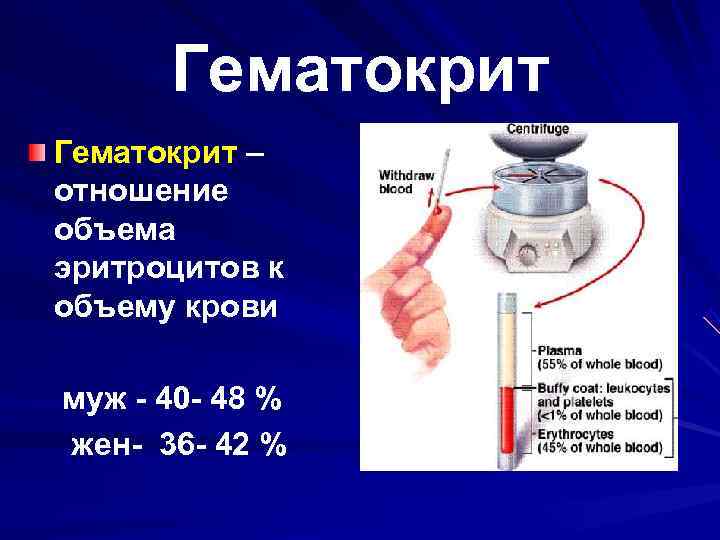    Гематокрит –  отношение  объема  эритроцитов к  объему