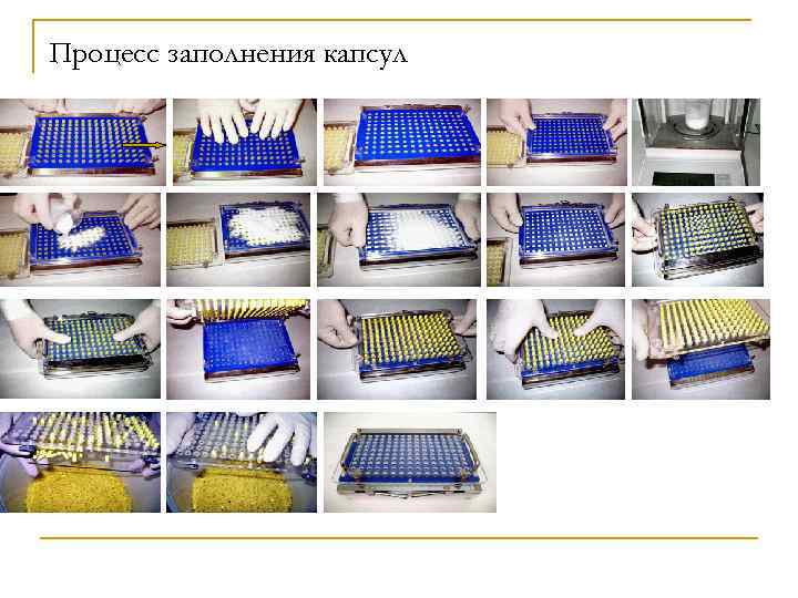 Процесс заполнения капсул 