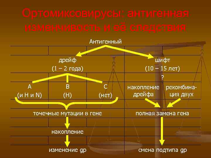 Ортомиксовирусы: антигенная изменчивость и её следствия Антигенный Ортомиксовирусы: антигенная изменчивость и её следствия Антигенный