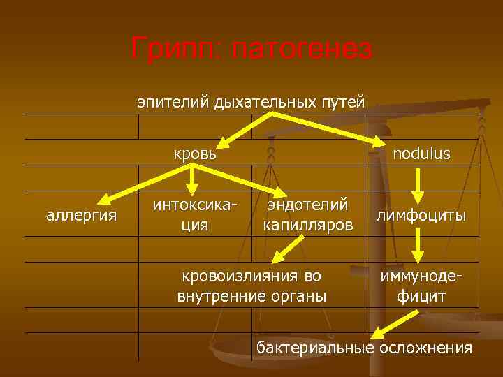Грипп: патогенез эпителий дыхательных путей кровь Грипп: патогенез эпителий дыхательных путей кровь