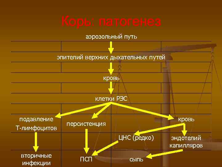 Патогенез кори схема