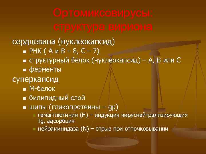 Ортомиксовирусы: структура вириона сердцевина (нуклеокапсид) n Ортомиксовирусы: структура вириона сердцевина (нуклеокапсид) n
