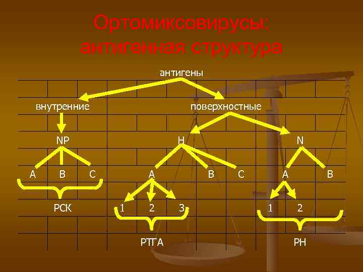Ортомиксовирусы: антигенная структура антигены внутренние Ортомиксовирусы: антигенная структура антигены внутренние