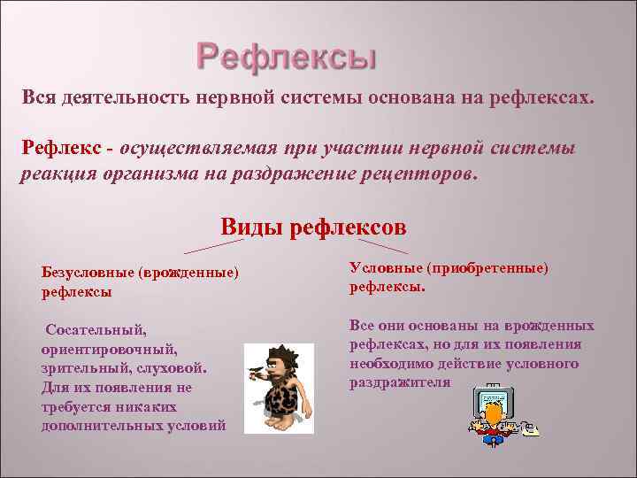 Вся деятельность нервной системы основана на рефлексах. Рефлекс - осуществляемая при участии нервной Вся деятельность нервной системы основана на рефлексах. Рефлекс - осуществляемая при участии нервной