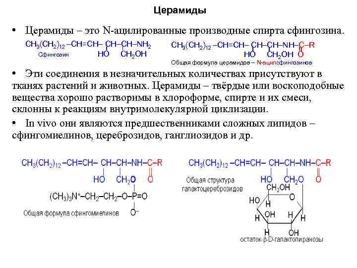 Церамиды • Церамиды – это N Церамиды • Церамиды – это N