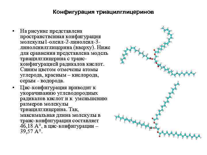 Конфигурация триацилглицеринов • На рисунке представлена пространственная конфигурация Конфигурация триацилглицеринов • На рисунке представлена пространственная конфигурация