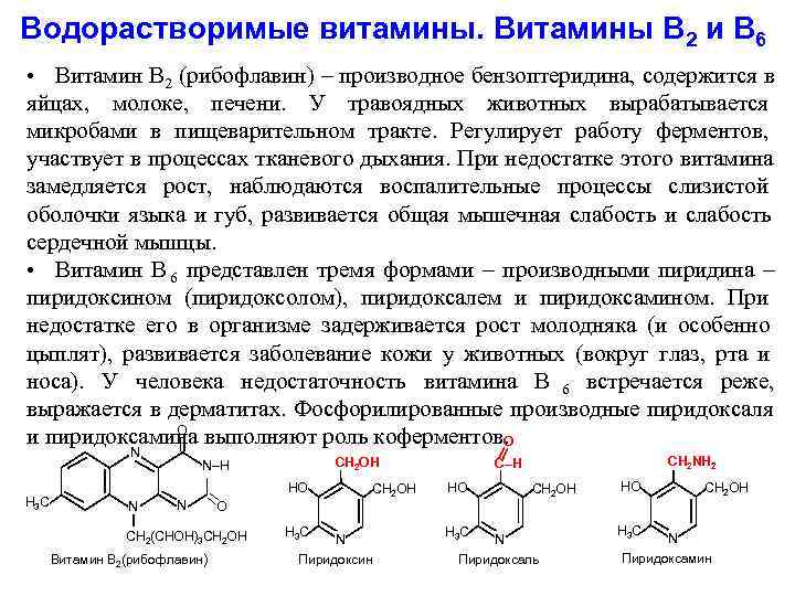 Водорастворимые витамины. Витамины В 2 и В 6 • Витамин В 2 (рибофлавин) –