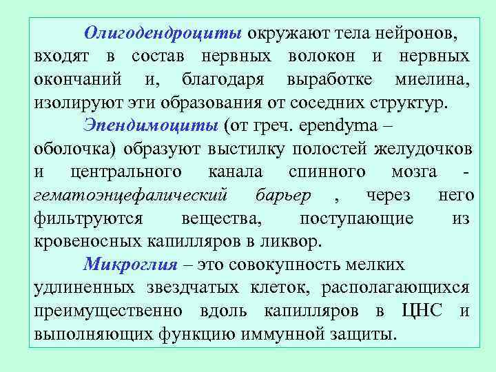  Олигодендроциты окружают тела нейронов, входят в состав нервных волокон и нервных окончаний и,