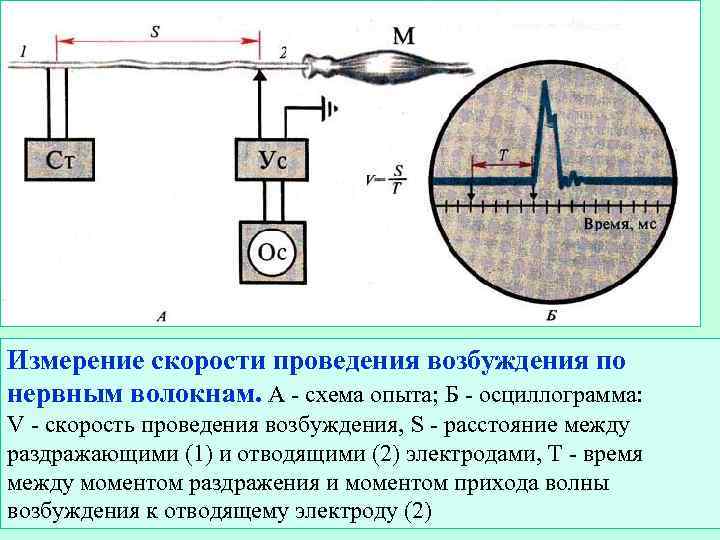 Осциллограмма исправного генератора