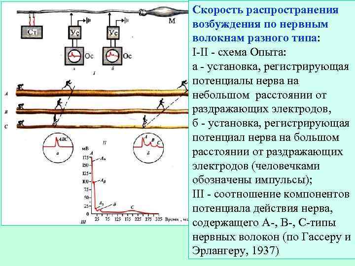 Тип возбуждения двигателя