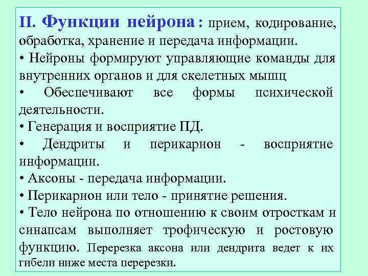 II. Функции нейрона : прием, кодирование, обработка, хранение и передача информации.  • Нейроны