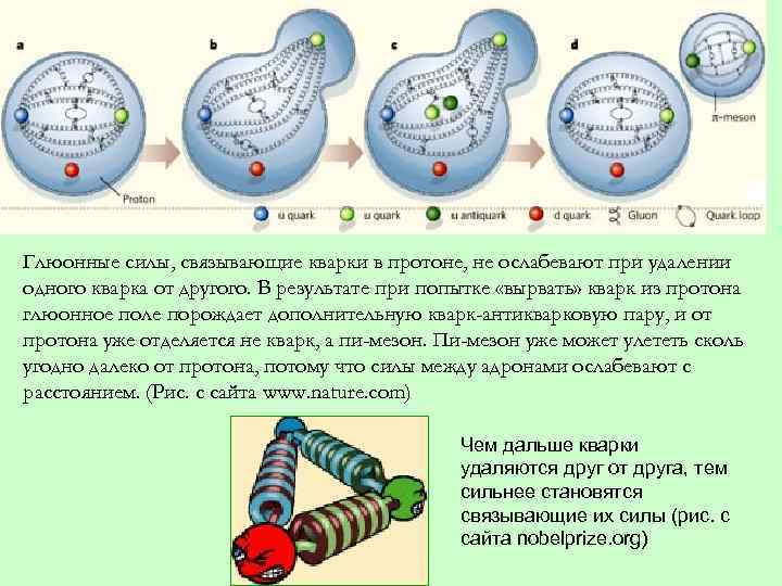 Глюонные силы, связывающие кварки в протоне, не ослабевают при удалении одного кварка от другого.