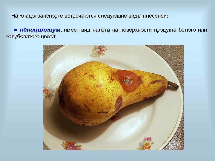  На хладотранспорте встречаются следующие виды плесеней:   ● пенициллиум ,  имеет