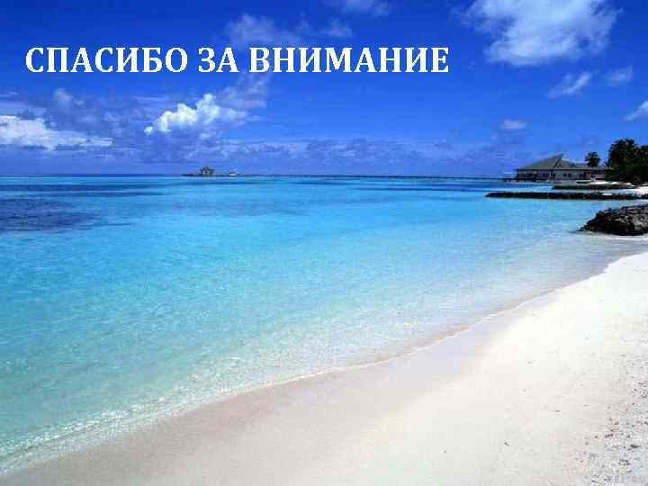СПАСИБО ЗА ВНИМАНИЕ 