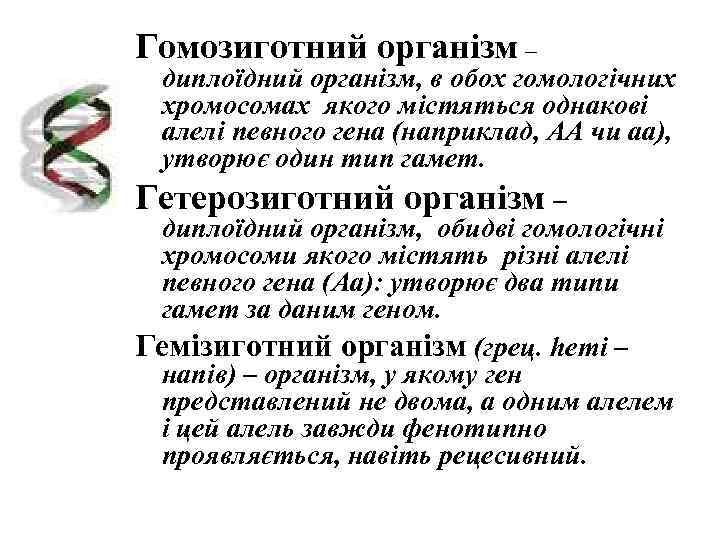 Гомозиготний організм – диплоїдний організм, в обох гомологічних хромосомах якого містяться однакові алелі певного