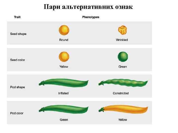 Пари альтернативних ознак 