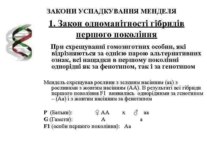  ЗАКОНИ УСПАДКУВАННЯ МЕНДЕЛЯ 1. Закон одноманітності гібридів   першого покоління  При