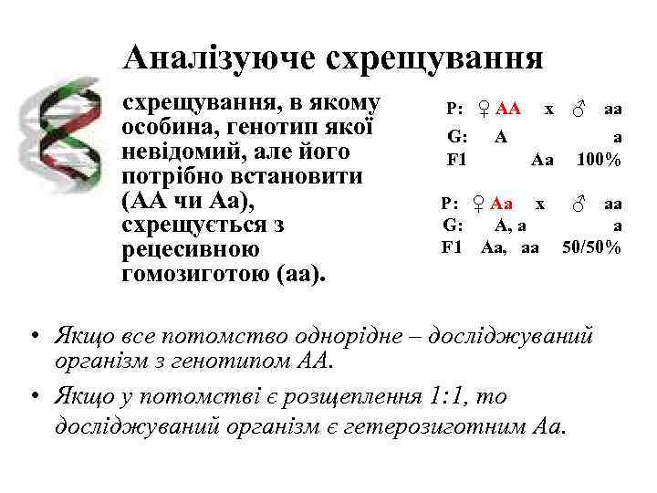   Аналізуюче схрещування, в якому P: ♀ АА  x  ♂ 