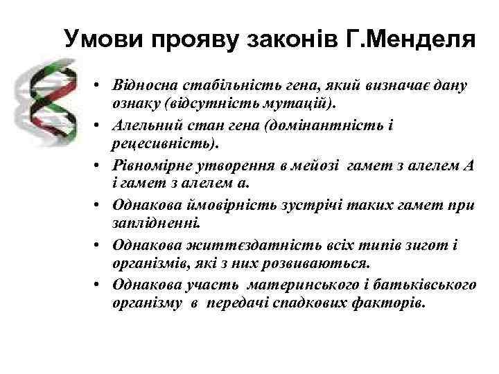 Умови прояву законів Г. Менделя  • Відносна стабільність гена, який визначає дану ознаку