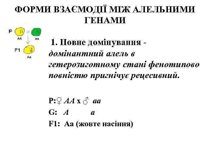 ФОРМИ ВЗАЄМОДІЇ МІЖ АЛЕЛЬНИМИ  ГЕНАМИ  1. Повне домінування - домінантний алель в