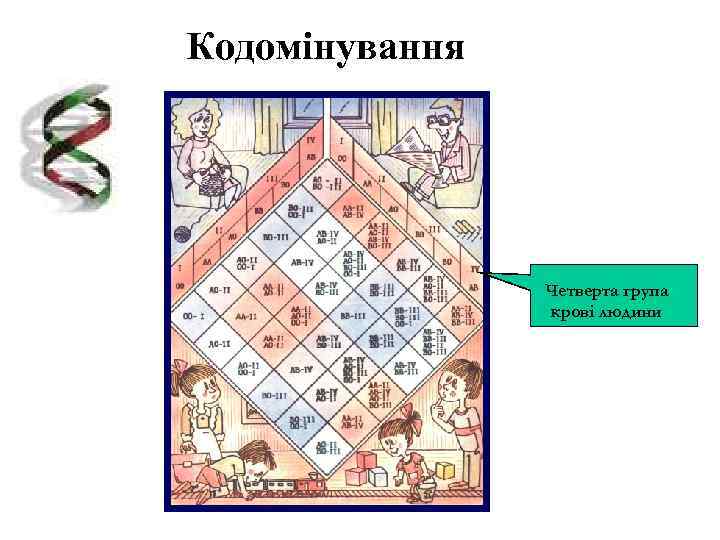 Кодомінування     Четверта група   крові людини 