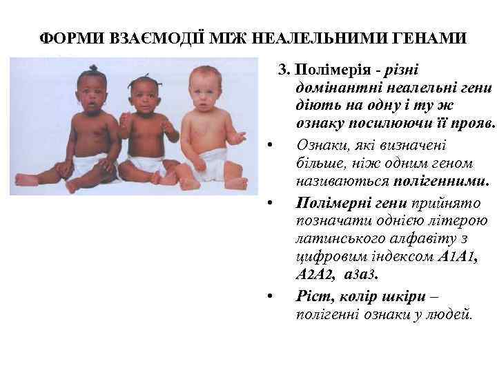 ФОРМИ ВЗАЄМОДІЇ МІЖ НЕАЛЕЛЬНИМИ ГЕНАМИ     3. Полімерія - різні 