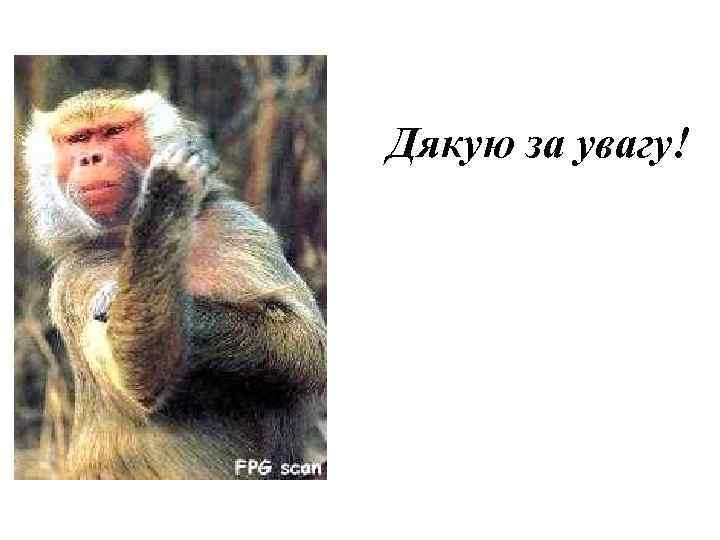 Дякую за увагу! 