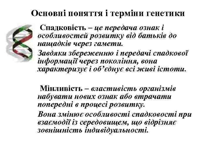 Основні поняття і терміни генетики  Спадковість – це передача ознак і особливостей розвитку