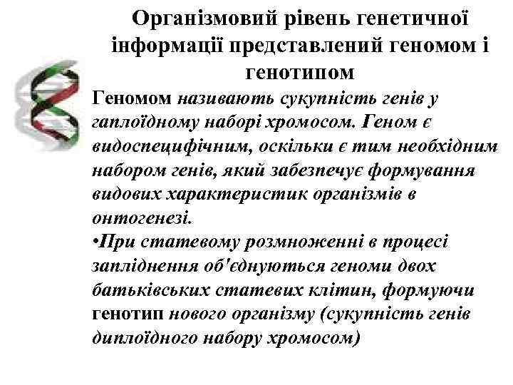   Організмовий рівень генетичної інформації представлений геномом і   генотипом Геномом називають