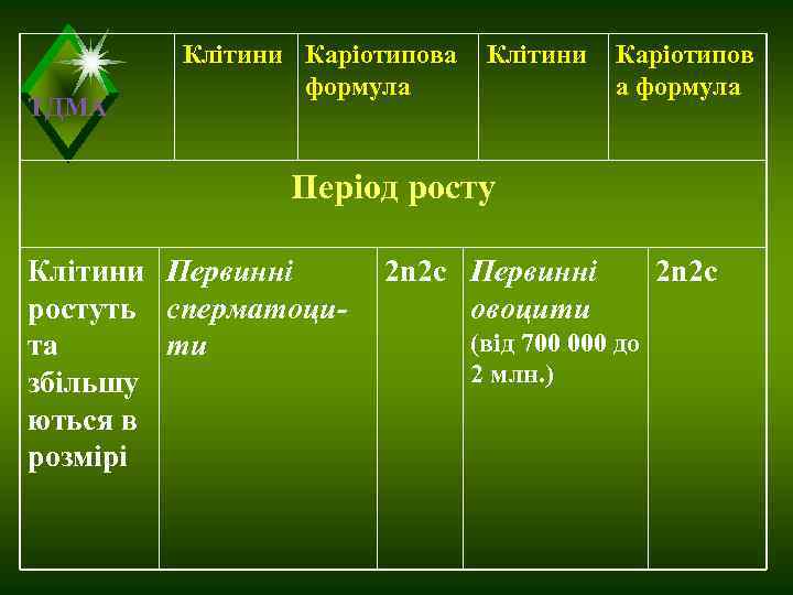    Клітини Каріотипова  Клітини  Каріотипов   формула  