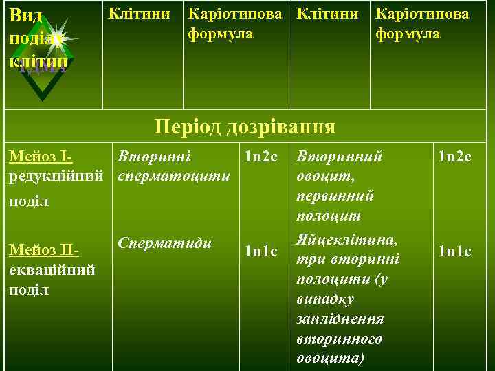 Вид   Клітини  Каріотипова поділу   формула клітин ТДМА  