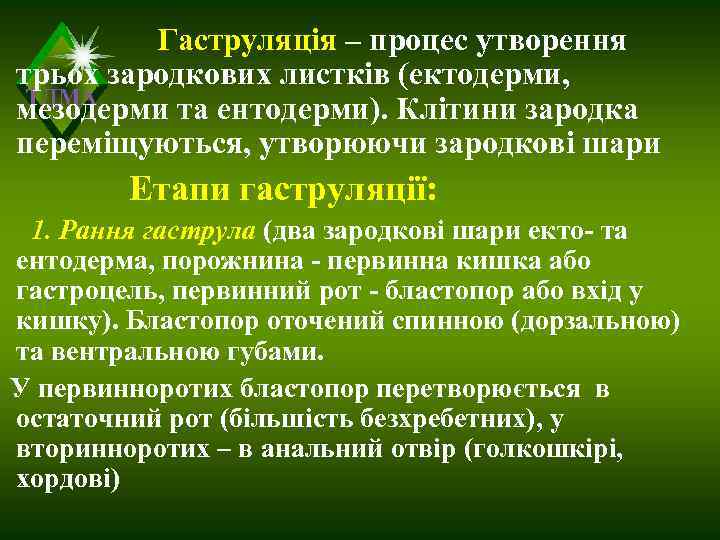    Гаструляція – процес утворення трьох зародкових листків (ектодерми,  ТДМА мезодерми