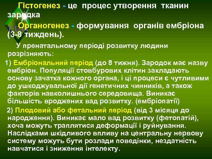   Гістогенез - це процес утворення тканин зародка  Органогенез - формування органів
