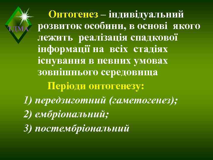    Онтогенез – індивідуальний ТДМА розвиток особини, в основі якого  лежить